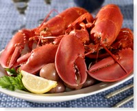 Lobster Dinner